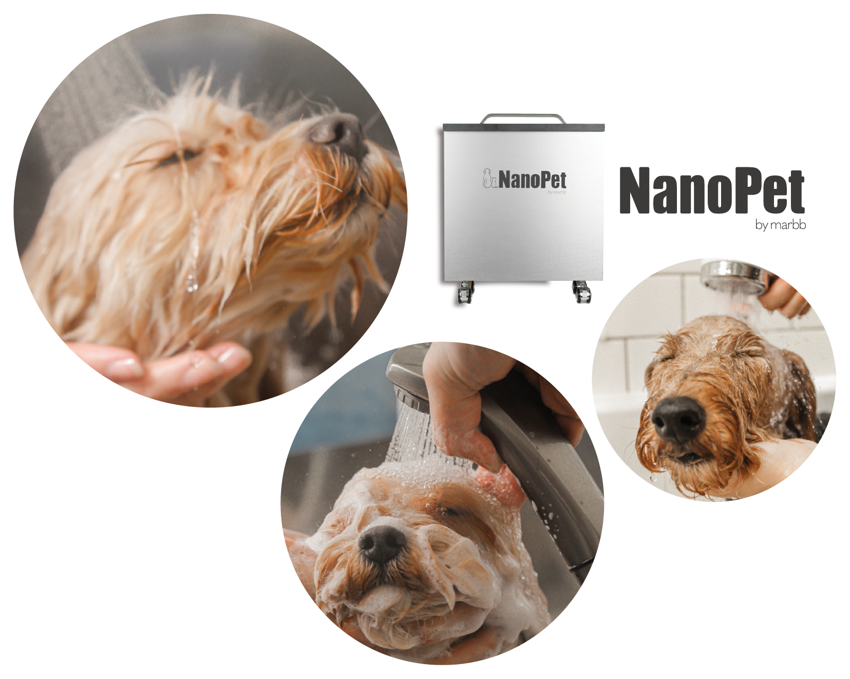 ペット専用のマイクロバブル発生装置ナノペットで仕上がりふわふわ | おうちDOGサロン リン