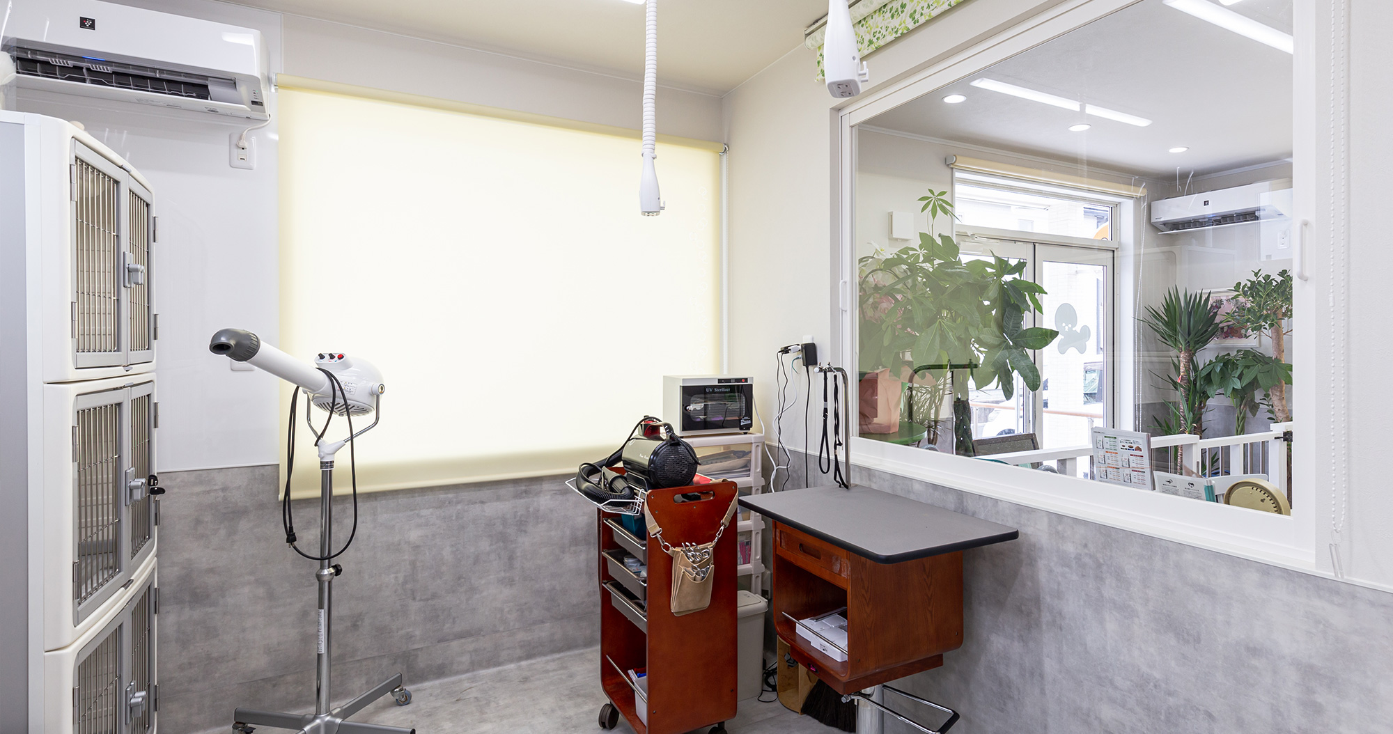 おうちDOGサロン リン