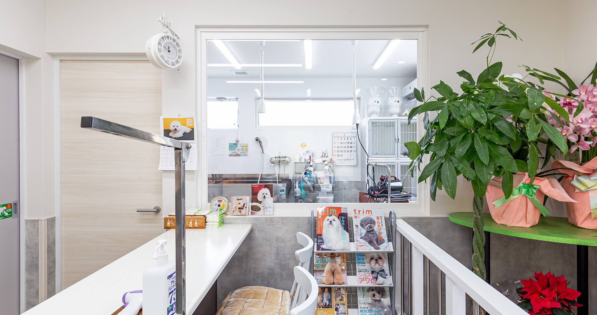 おうちDOGサロン リン