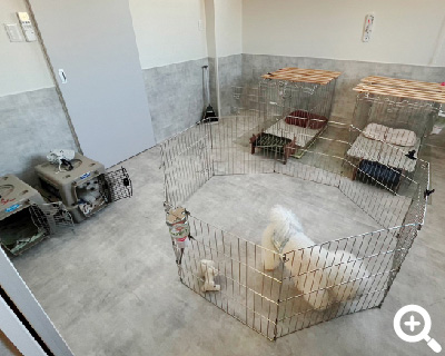 当店のサービス「ペットホテル」 | １泊のお預かりから連泊は１週間まで承ります |  おうちDOGサロン リン
